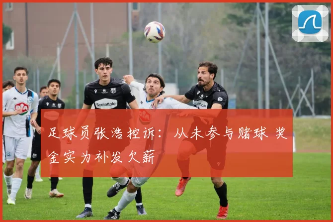 足球员张浩控诉:从未参与赌球 奖金实为补发欠薪